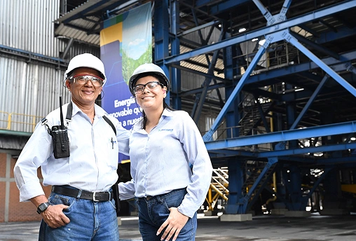 Azúcares y Endulzantes Consumo